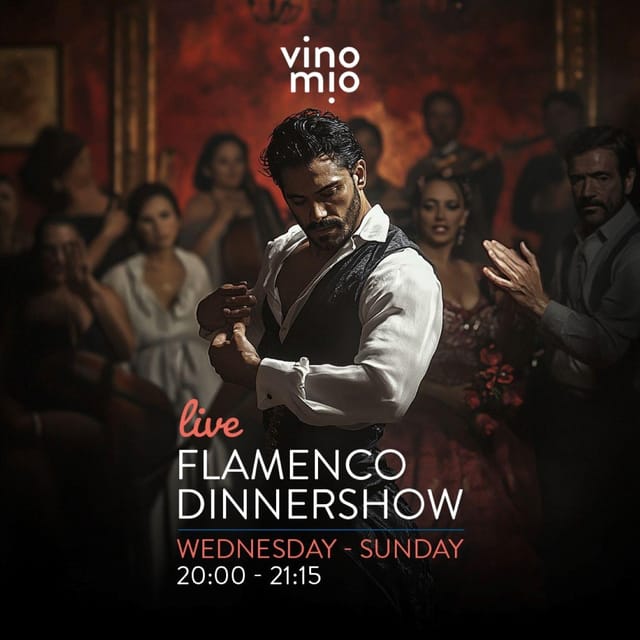 Malaga: Authentic Flamenco Dinner Show at Vino Mio - Vino Mio timing, meeting point, and the 8:00 PM rule