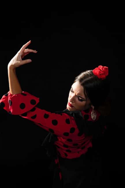 Malaga: Authentic Flamenco Dinner Show at Vino Mio - How the night flows: eating during a flamenco performance