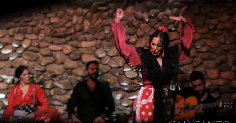 Malaga: Authentic Flamenco Show at El Gallo Ronco - Key things that make this flamenco show work