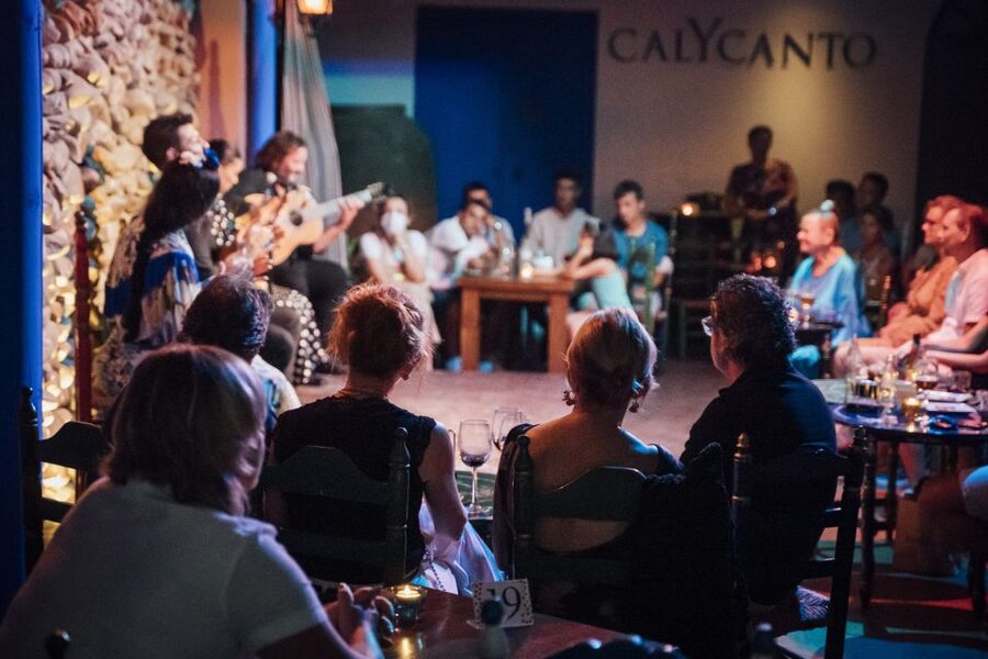 Malaga: Authentic Flamenco Show at El Gallo Ronco - Price and value: is $27 a fair deal?