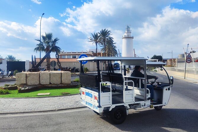 Malaga by Tuk Tuk i : 1 or 2 hours Private city tour - Malaga City Council: A Quick Glimpse of Civic Malaga