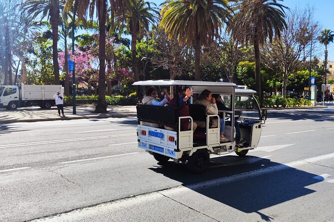 Malaga by Tuk Tuk i : 1 or 2 hours Private city tour - The One Stop That Feels Like a Reset: Malagueta Beach