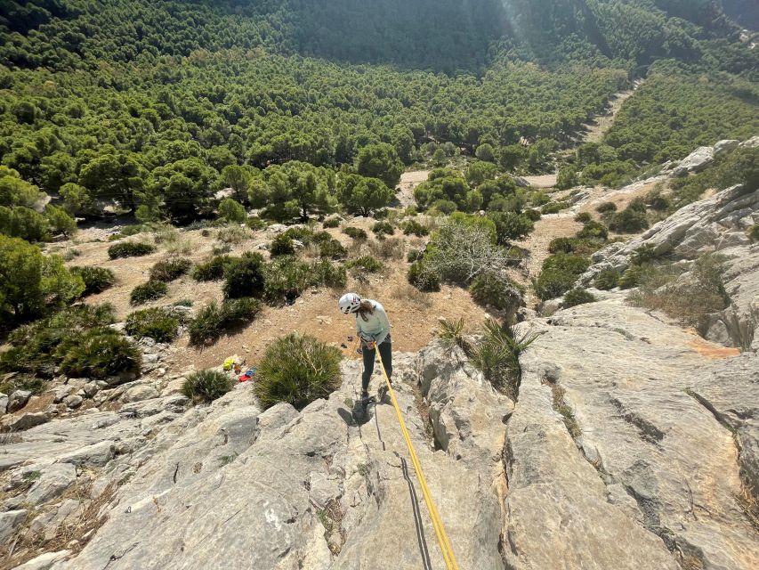 Málaga: Caminito del Rey and El Chorro Climbing Trip - Booking Decision: Should You Book This Caminito and El Chorro Climb Trip?