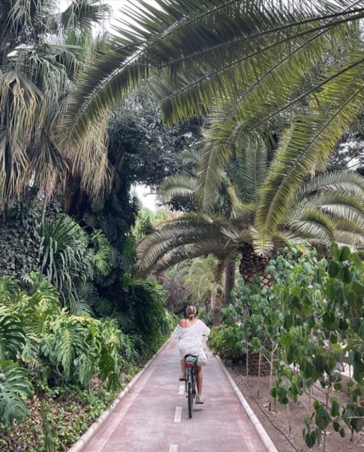 Malaga: Castle Hill and Fisherman Village E-Bike Tour - Climbing to Gibralfaro: fortress views that actually feel earned
