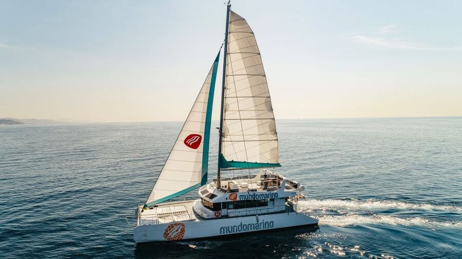 Malaga: Catamaran Sailing Cruise with Swimming & Optional DJ - Swim Stop Reality Check: Jump rules, short time windows, and sea conditions