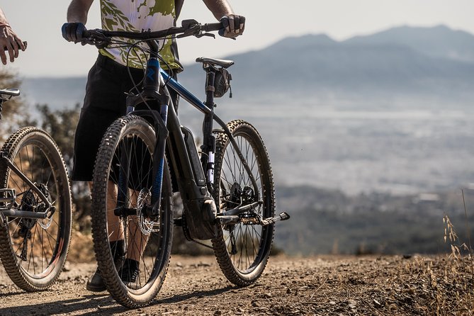 Malaga E-MTB Tour: Botanical Garden, Natural Park and Port of Malaga - Finding the Route: From Centro to the Hills Quickly