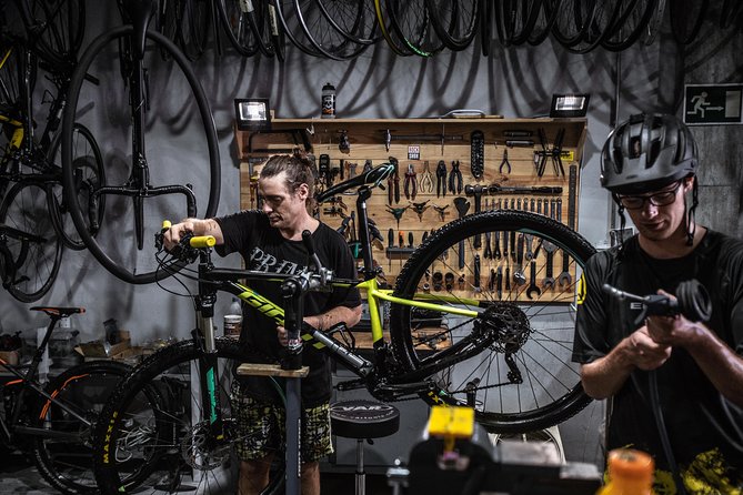 Malaga E-MTB Tour: Botanical Garden, Natural Park and Port of Malaga - E-Bike Reality Check: What to Expect From the Equipment and Riding