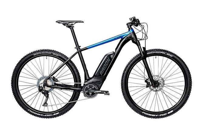 Malaga E-MTB Tour: Botanical Garden, Natural Park and Port of Malaga - Guide Style and the Value of a Small Group