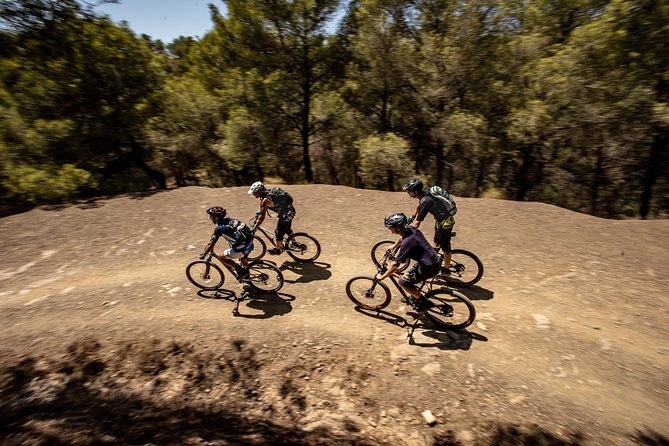 Malaga E-MTB Tour: Botanical Garden, Natural Park and Port of Malaga - Botanical Garden and Limonero Lake: A Nature Break Without the Full Trek
