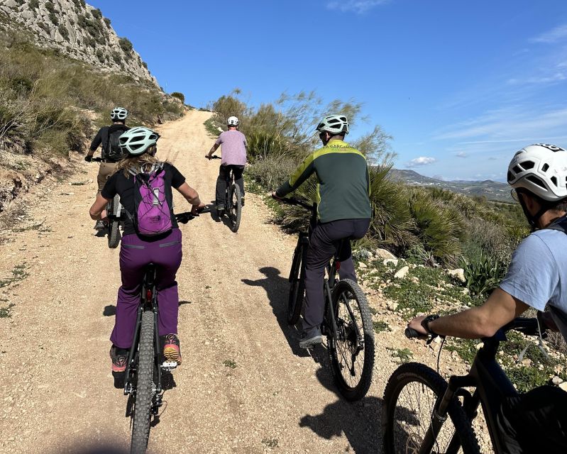 Málaga: "El Chorro" E-bike guided tour 2h (13km) - What the Guide Adds: Geology, Plants, Animals, and Local Context