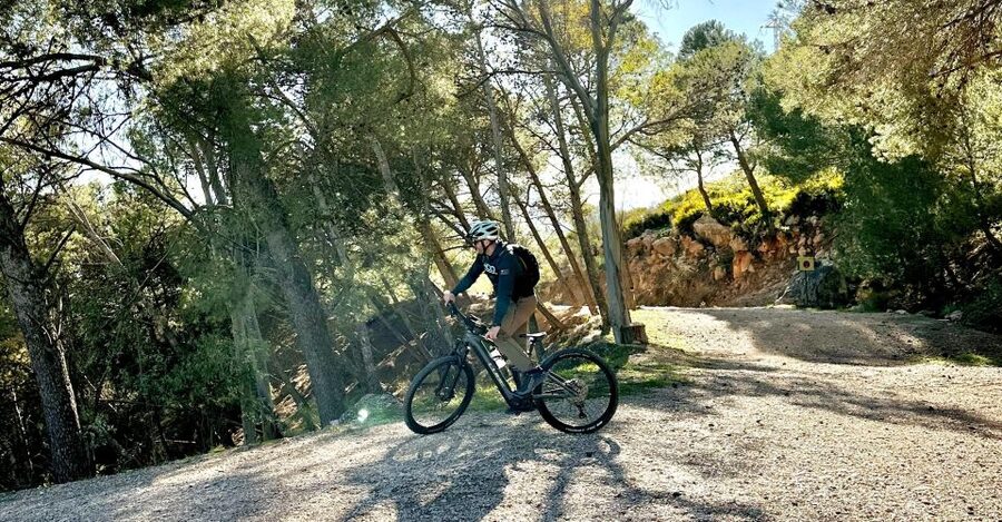 Málaga: "El Chorro" E-bike guided tour 2h (13km) - Group Size, Local Guides, and the Sammy Factor