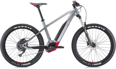 Electric Bike Rental