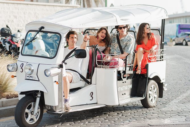 Malaga Expert Tour with Local Guide in Eco Tuk Tuk Private - The Malaga port: commercial, passenger, cruise, and fishing all at once