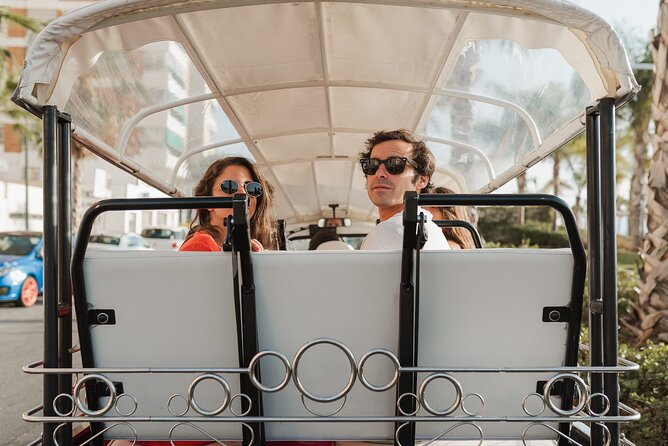 Malaga Expert Tour with Local Guide in Eco Tuk Tuk Private - Pompidou Málaga and the El Cubo stop for modern art context