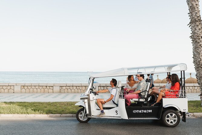Malaga Express Tour with Local Guide in Eco Tuk Tuk Private - University of Malaga, the Bank of Spain, and the town hall: the civic backbone