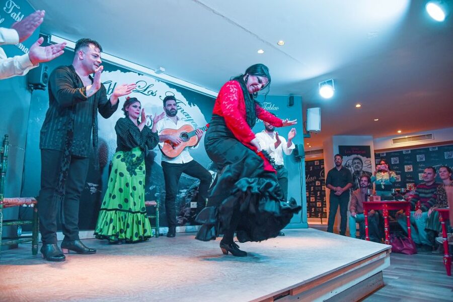 Malaga: Flamenco, Tapas, and Wine Tour - Key Things I Found Most Compelling