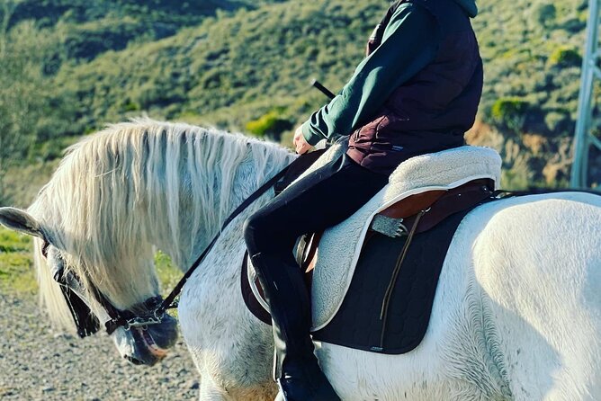 Malaga - guided horseback riding - Pace and coaching: perfect for first-timers, with one important caution