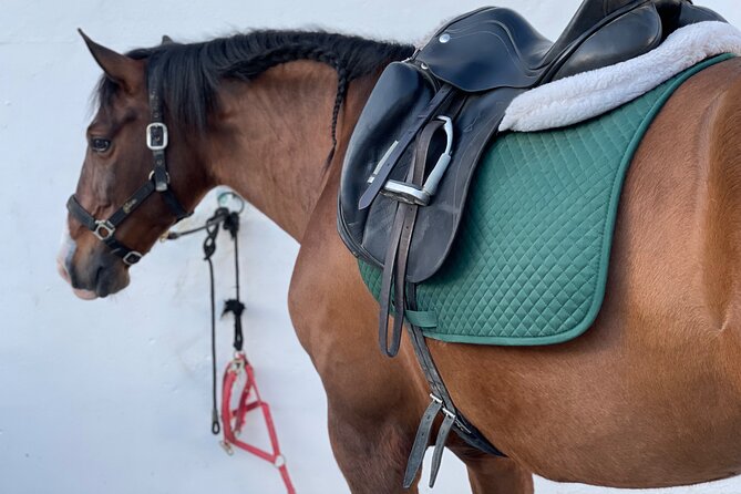 Malaga - guided horseback riding - English vs Spanish vs French: how language affects the experience