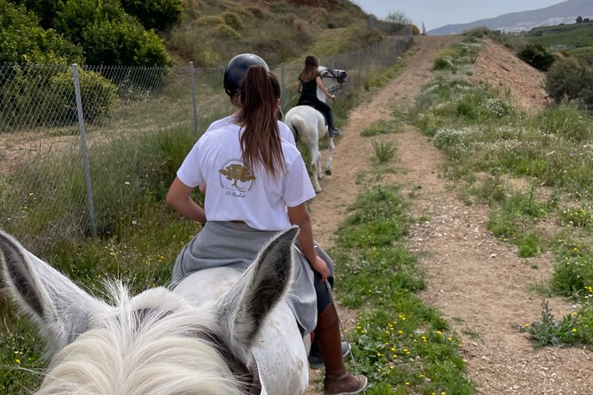 Malaga - guided horseback riding - Who this horseback ride is best for