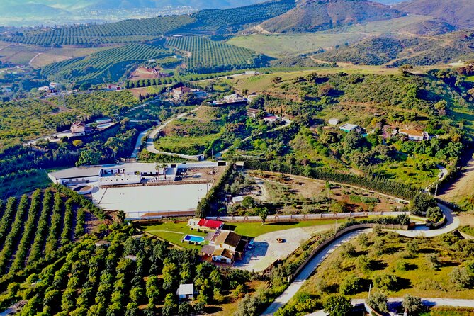 Malaga - guided horseback riding - Weather, timing, and what you should watch for on the day