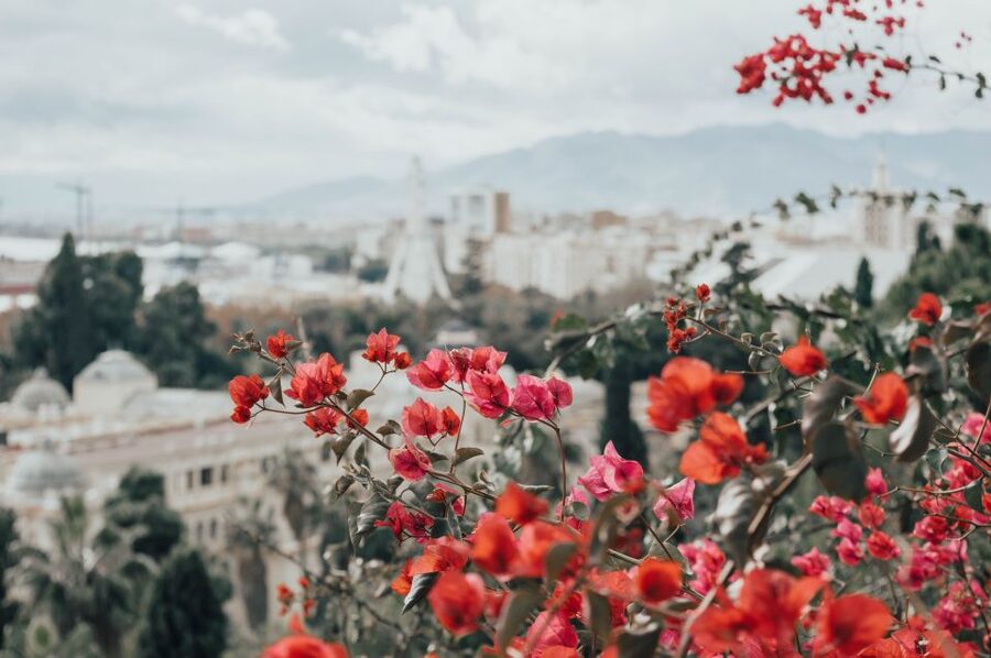 Málaga: Highlights, Old Town & Viewpoint Walking Tour - Gardens of the Dark Door and Paseo del Parque Tropical Park