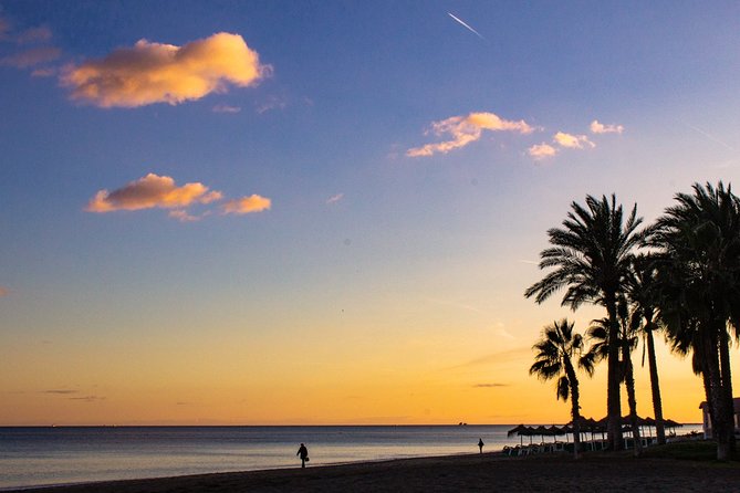 Malaga Highlights, Old Town & Viewpoints Walking Tour - Malaga Cathedral: what locals call it and how to plan for tickets