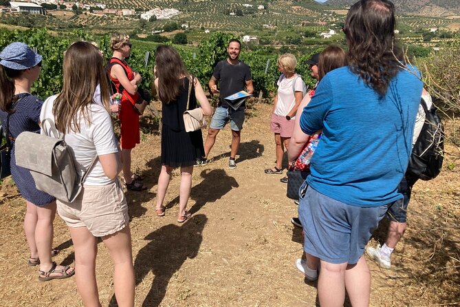 Malaga Organic Vineyard and Winery Six Wines Tapas and Transfer - Key Highlights You Should Know