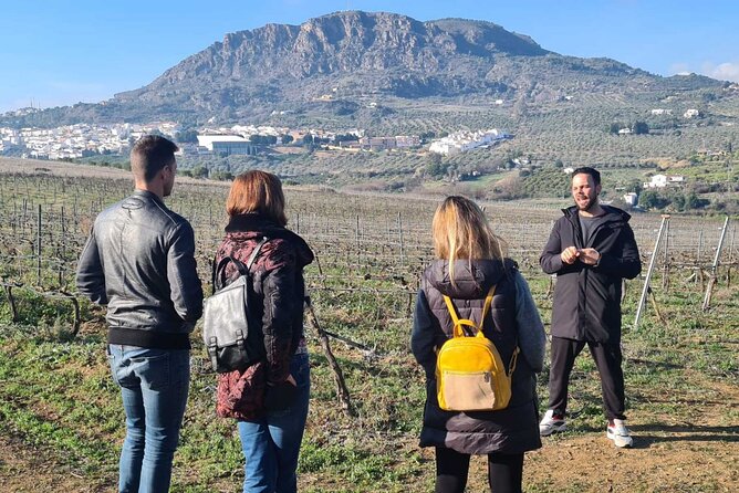 Malaga Organic Vineyard and Winery Six Wines Tapas and Transfer - Antonio’s Winery Stop: The Garage Cellar Tasting That Feels Like a Meal