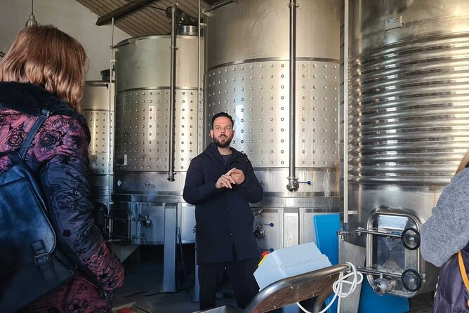 Malaga Organic Vineyard and Winery Six Wines Tapas and Transfer - Price and Value: Why $114.93 Can Make Sense Here