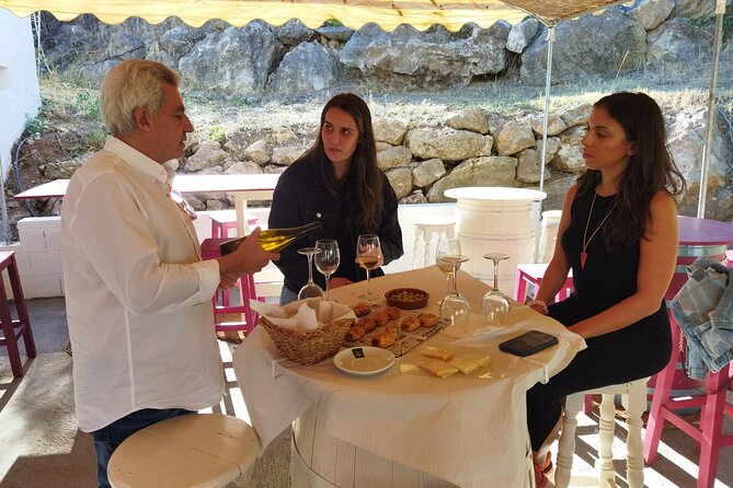 Malaga Organic Vineyard and Winery Six Wines Tapas and Transfer - Who Should Book This Tour, and Who Might Skip It