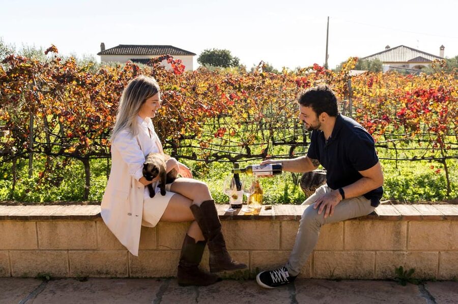 Malaga: Organic Vineyard Tour with 6 Wines, Tapas & Transfer - Key highlights you will actually feel
