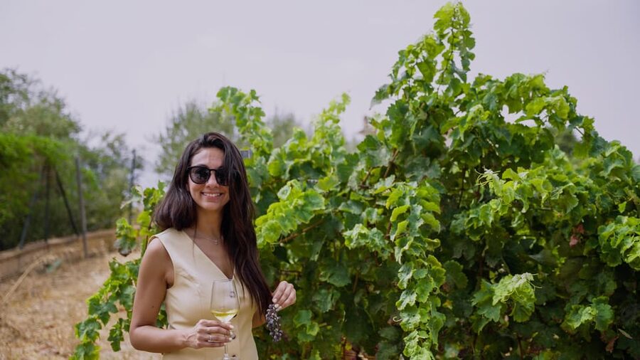 Malaga: Organic Vineyard Tour with 6 Wines, Tapas & Transfer - Why this Malaga wine day feels like access, not a mass tasting
