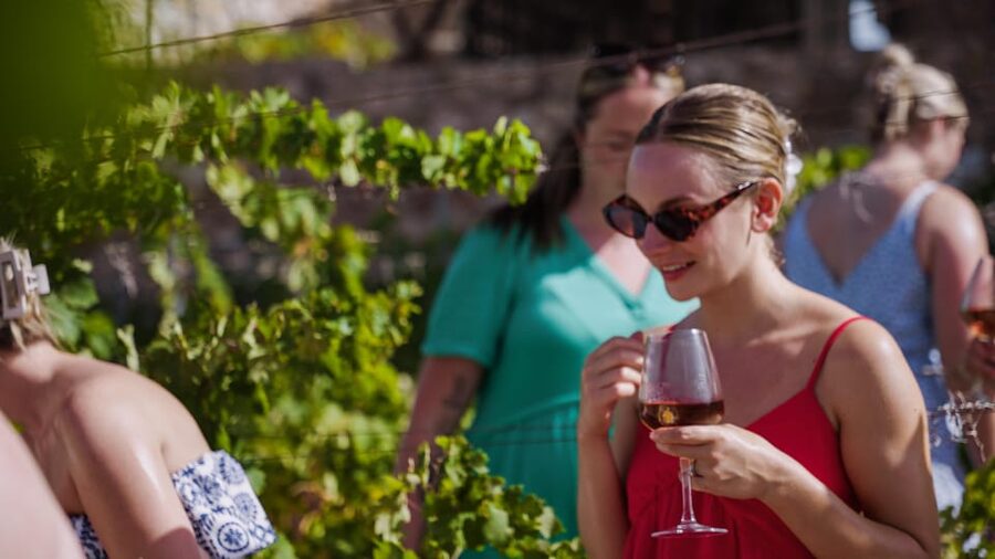 Malaga: Organic Vineyard Tour with 6 Wines, Tapas & Transfer - Walking through the organic vines and meeting the farm side of the winery