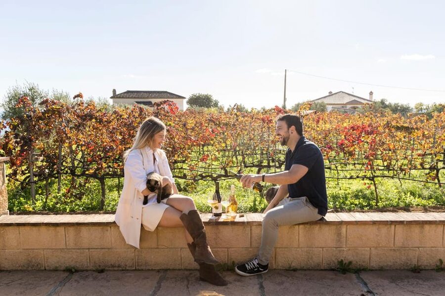 Malaga: Organic Vineyard Tour with 6 Wines, Tapas & Transfer - Where the time goes in a 4.5-hour tour (and why the pacing works)