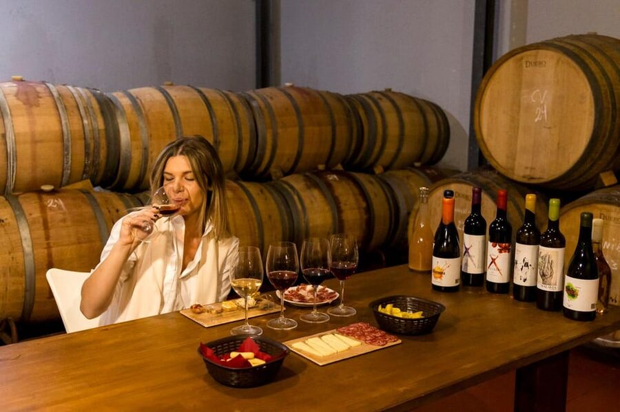 Malaga: Organic Vineyard Tour with 6 Wines, Tapas & Transfer - The 30-minute van ride from Plaza de la Marina to Viñedo Malvajio