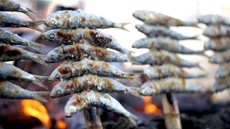 Malaga: Paella and Tapas Tour with The Best Flamenco Show - Price and value: what you get for about $108