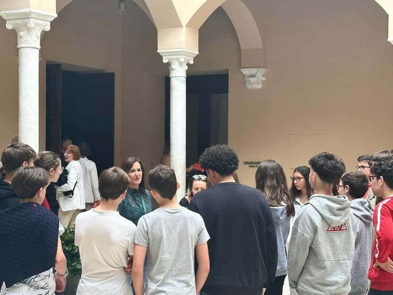 Malaga: Picasso Museum Tour Expert Art Guide, entrance fee included - Picasso Museum Málaga, explained in one tight hour