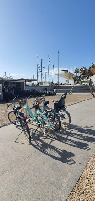 Malaga: Private Bike Rental - Roman Theatre and Alcazaba Stops You Can Time to Your Day