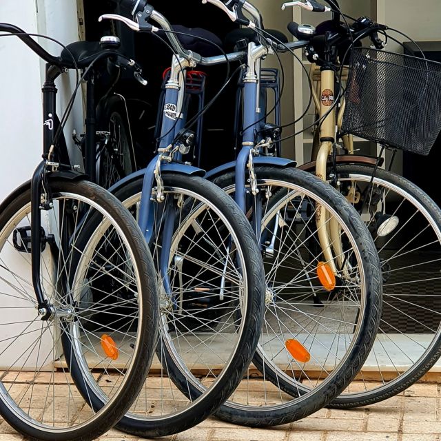 Malaga: Private Bike Rental - Picasso Museum Area, Without Letting One Stop Eat the Whole Day