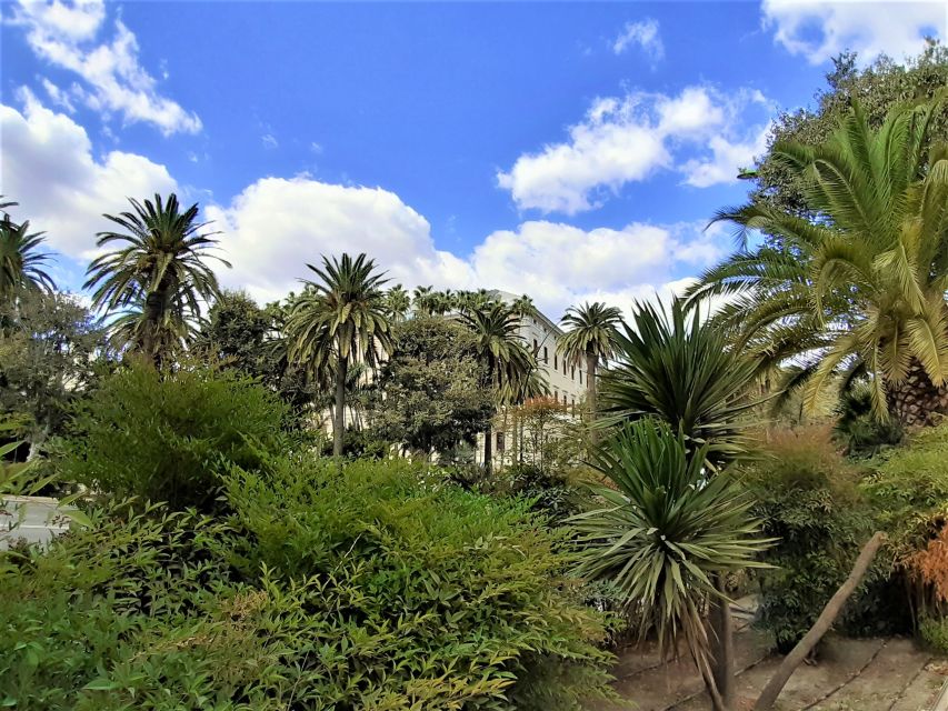 Malaga: Private walking tour - Who this private Malaga walk is best for