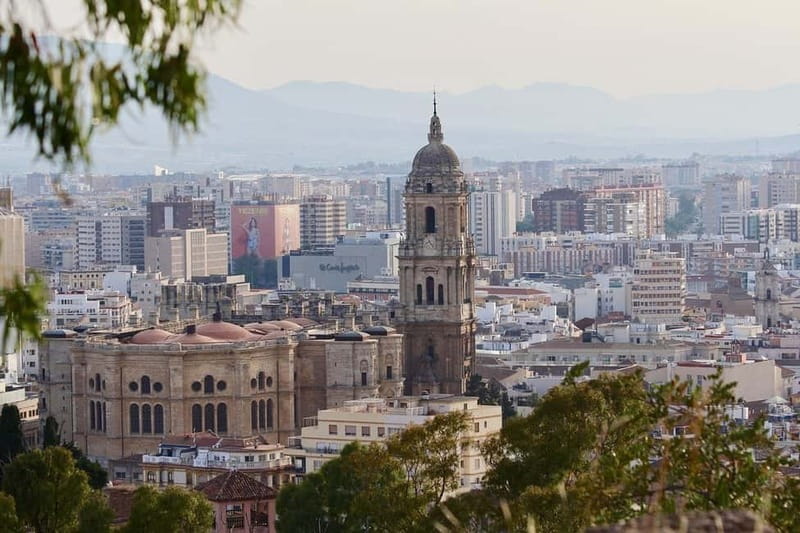 Malaga: Private Walking Tour with Official Guide - Choosing nature: panoramic city views and the Subtropical park walk