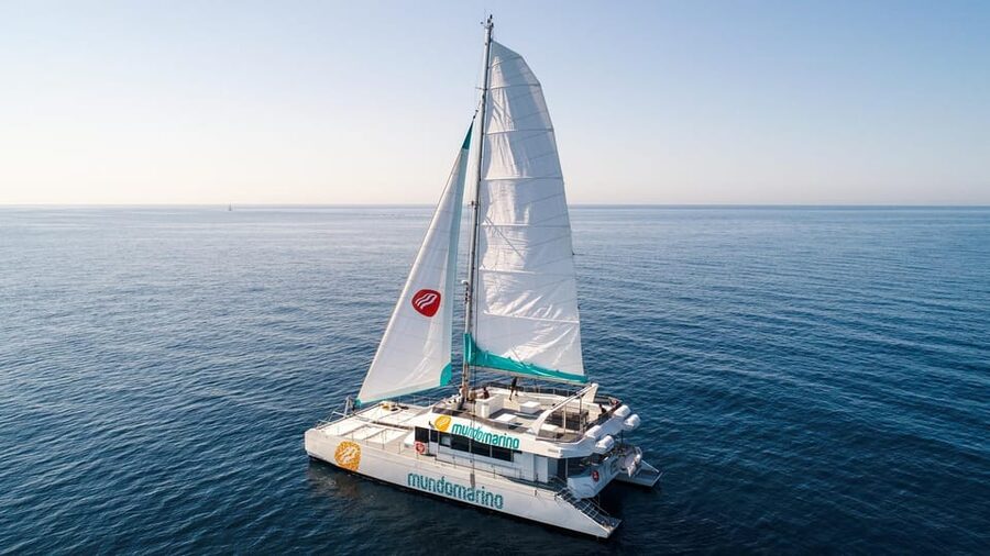 Malaga: Sailing Catamaran with Swimming and Paella Lunch - Should you book this Malaga catamaran sailing trip?
