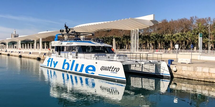 Málaga: Scenic Catamaran Cruise - Views of the Bay of Málaga, plus dolphins if you get lucky