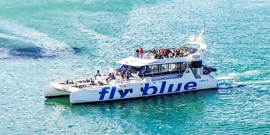 Málaga: Scenic Catamaran Cruise - Drinks, music, and the level of guidance you should expect