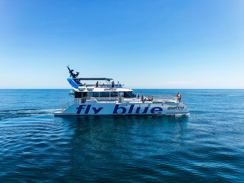 Málaga: Scenic Catamaran Cruise - Swimming time: what is allowed and why some departures feel different