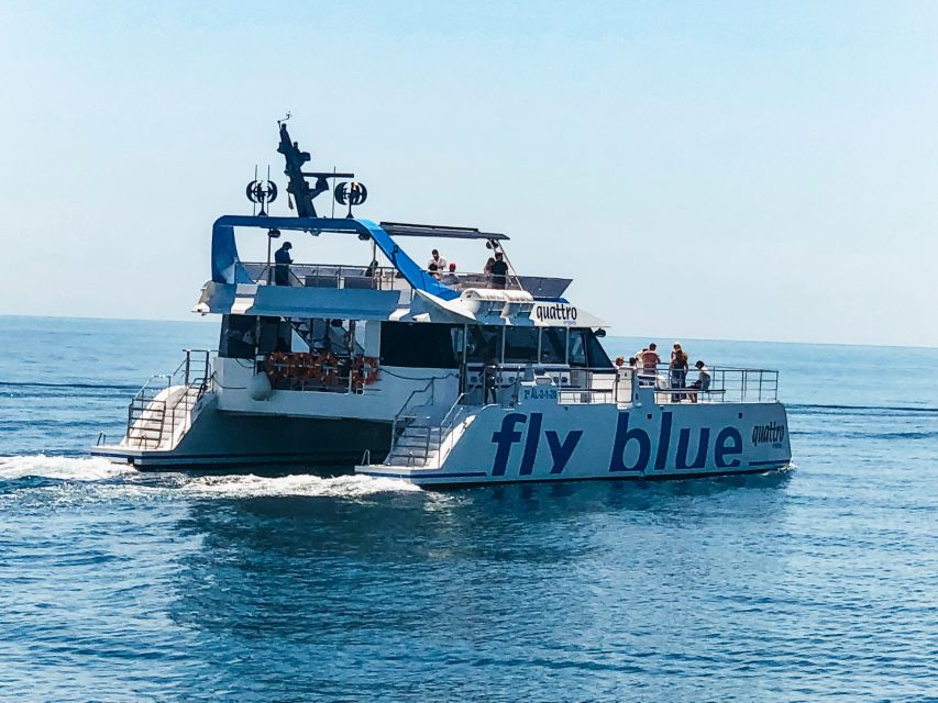 Málaga: Scenic Catamaran Cruise - Should you book this Málaga catamaran cruise?