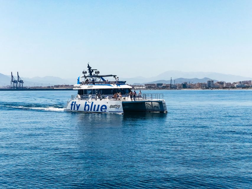 Málaga: Scenic Catamaran Cruise - FAQ