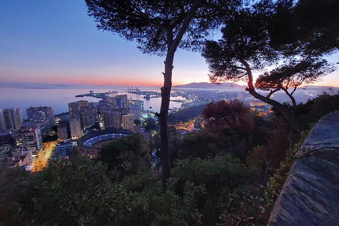 Málaga Sunset & Night Tour by Electric Car - Fishing Neighborhoods: Real Malaga Food Energy