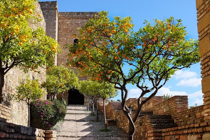 Malaga Super Tour - How Hop-On Hop-Off Really Works in Malaga (Your 4-Hour Game Plan)