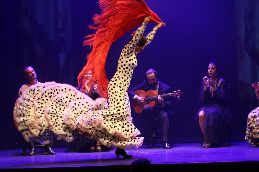 Malaga: Teatro Flamenco Malaga Live Flamenco Show - Teatro Flamenco Malaga Club: an intimate flamenco room with real attitude